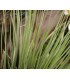 60cm green grass