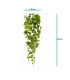 90cm trailing pothos, variegated