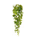 90cm trailing pothos, variegated