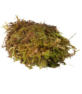 Habistat Sphagnum moss 1 kg